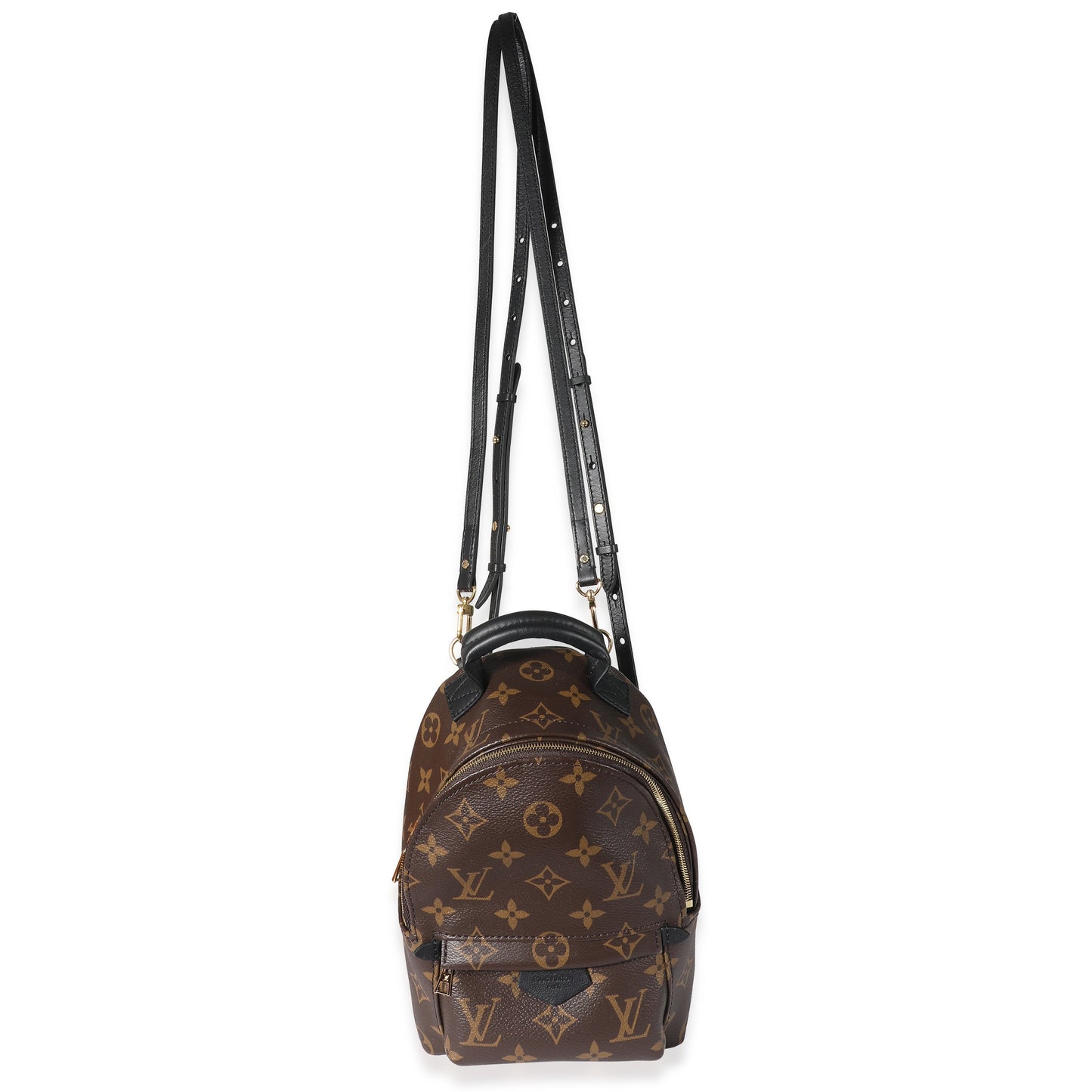 Louis Vuitton  Monogram Canvas Mini Palm Springs