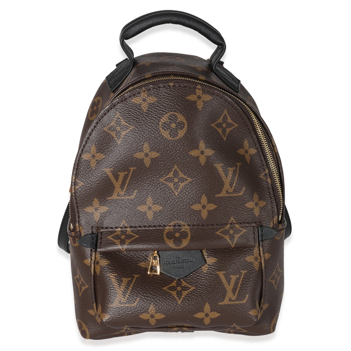 Louis Vuitton  Monogram Canvas Mini Palm Springs