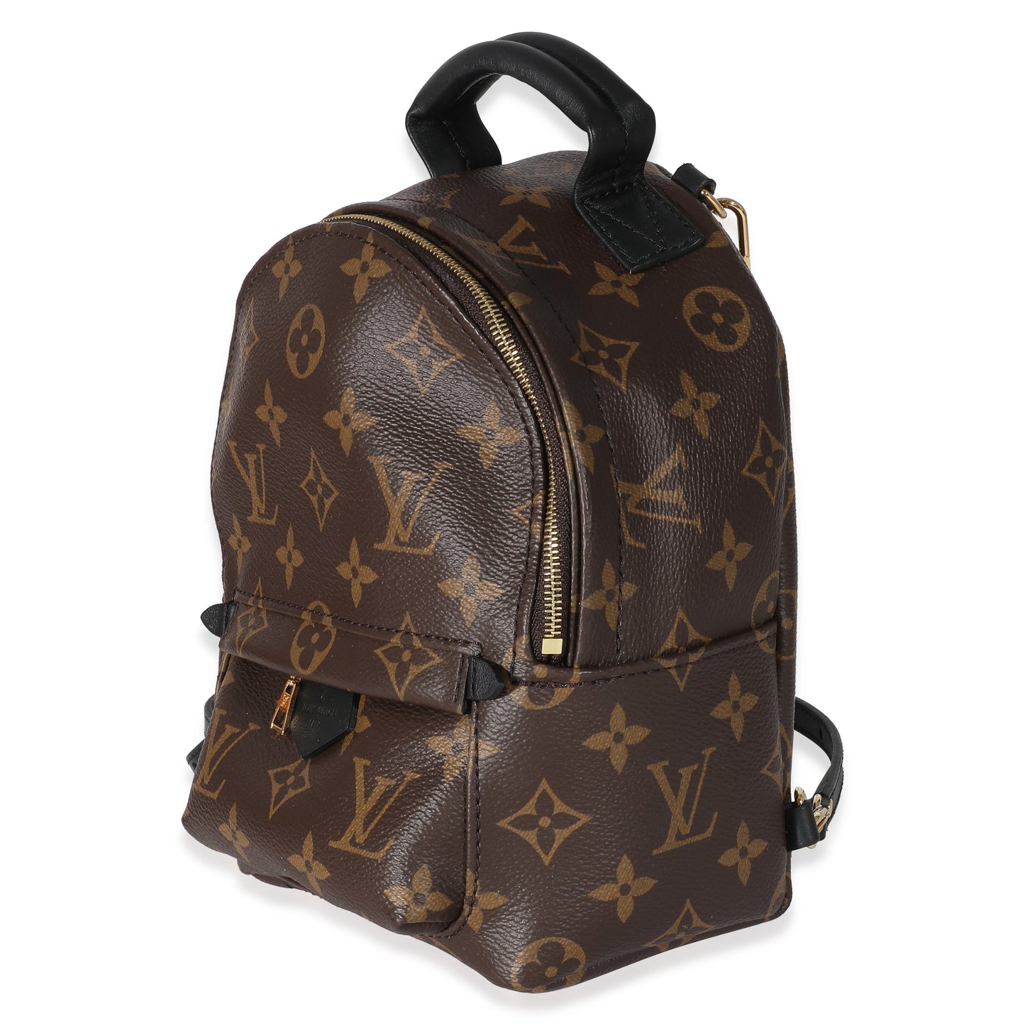 Louis Vuitton  Monogram Canvas Mini Palm Springs