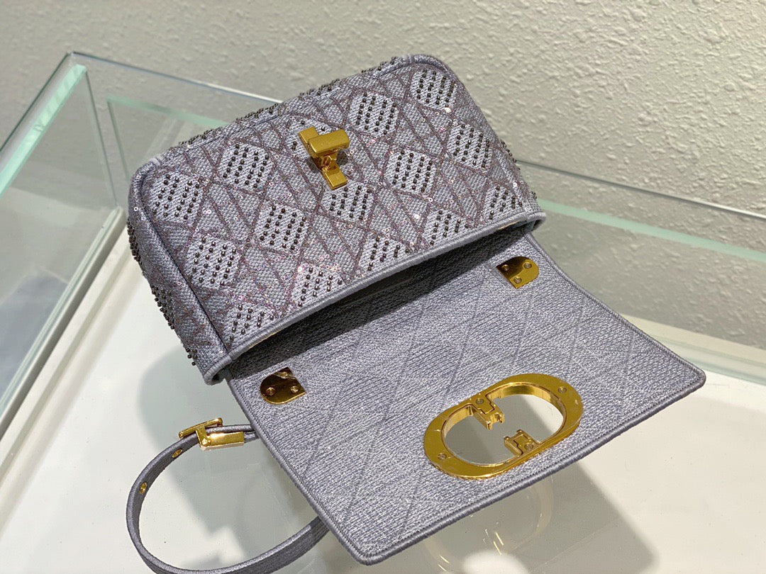 Top Quality MeTop Qualityum Caro Bag Gray , For Women, Womens Handbags 25.5cm/10in CD