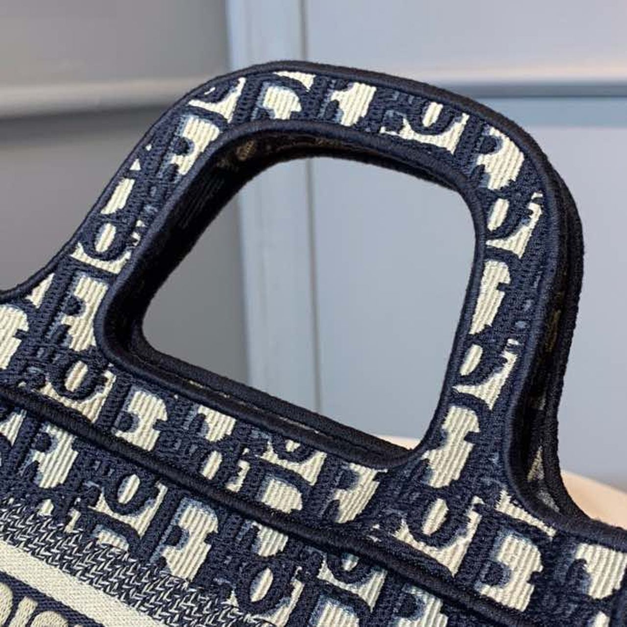 Top Quality Mini Book Tote Bag Blue By Maria Grazia Chiuri For Women 9in/22cm CD S5475ZRIW_M928