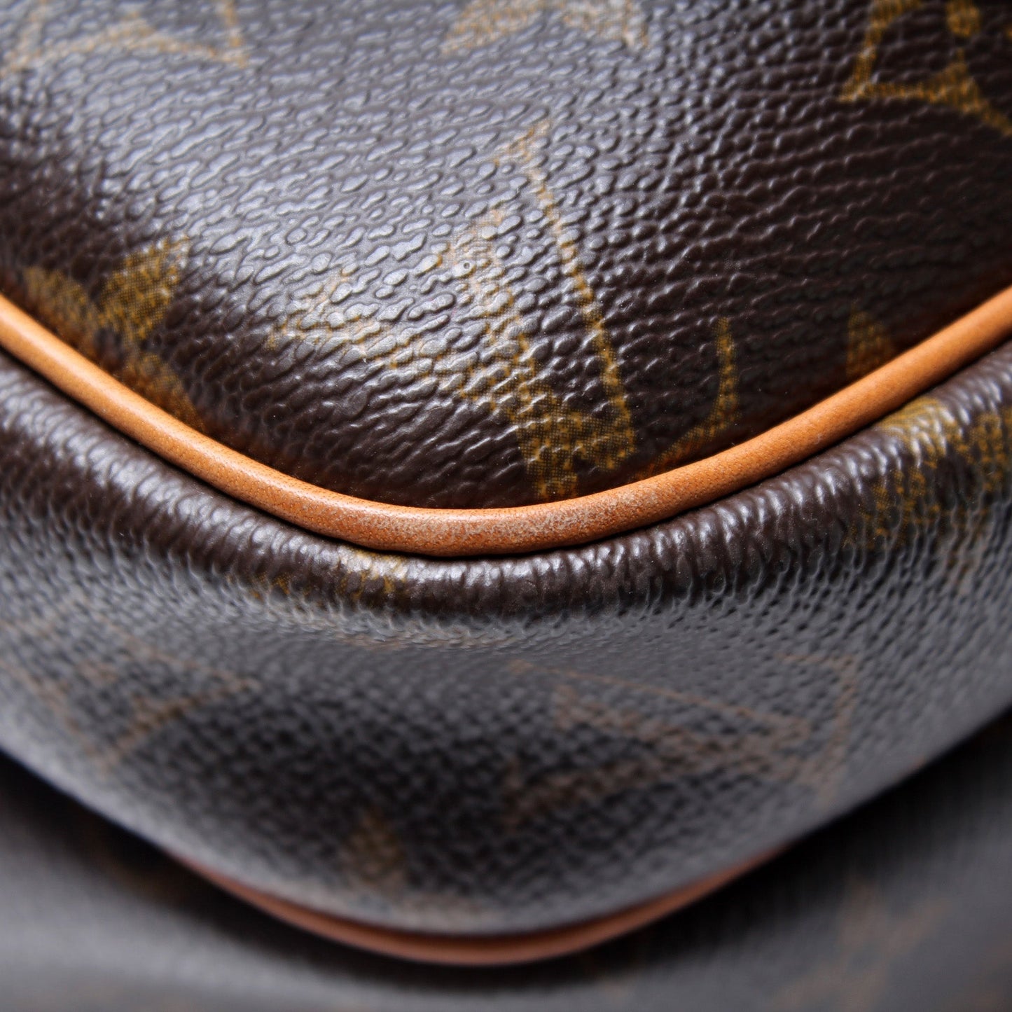 Louis Vuitton Reporter PM Monogram