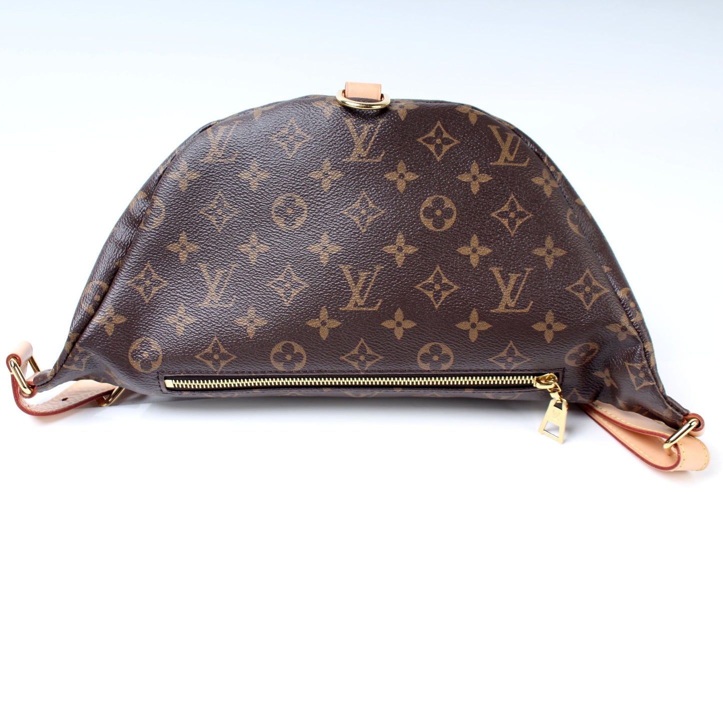 Louis Vuitton Bumbag Monogram