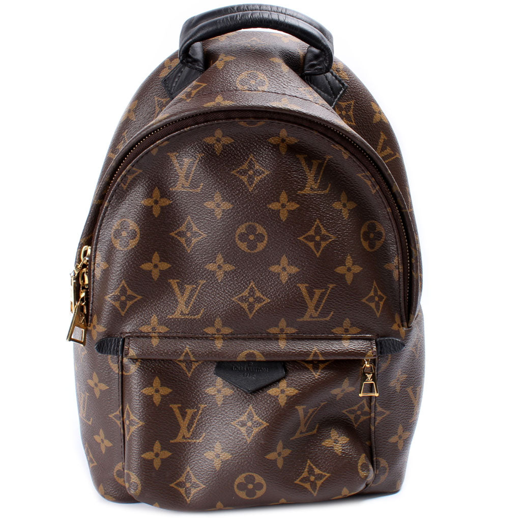 Louis Vuitton Palm Springs Backpack PM Monogram