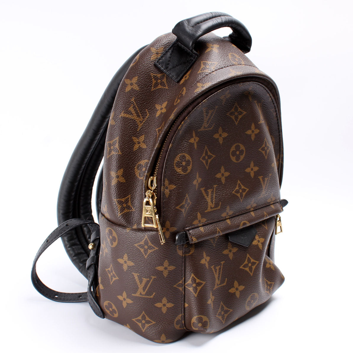 Louis Vuitton Palm Springs Backpack PM Monogram