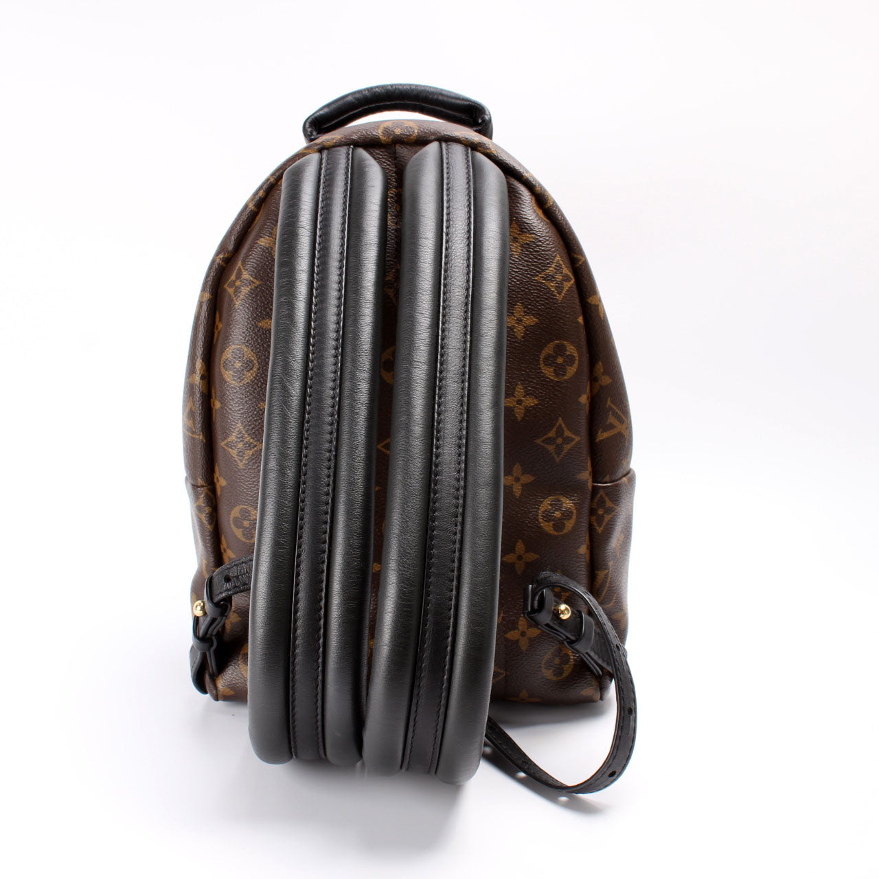 Louis Vuitton Palm Springs Backpack PM Monogram