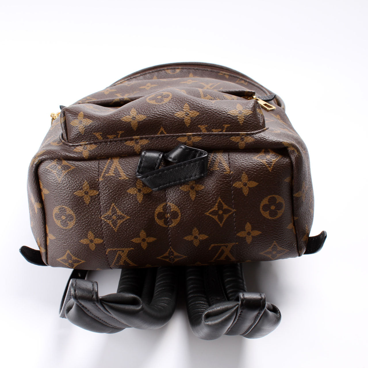 Louis Vuitton Palm Springs Backpack PM Monogram