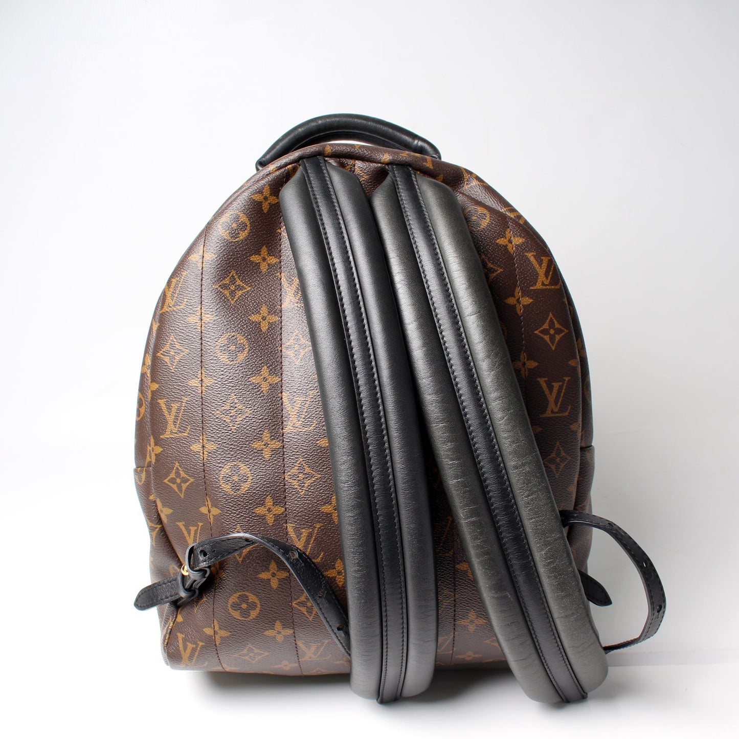 Louis Vuitton Palm Springs Backpack MM Monogram