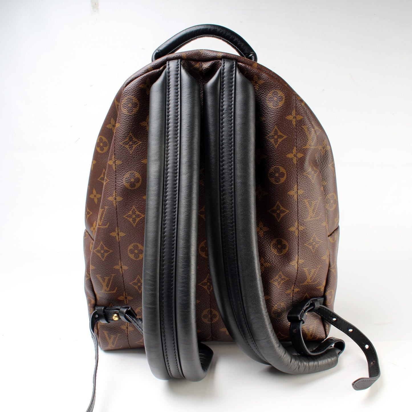 Louis Vuitton Palm Springs Backpack MM Monogram