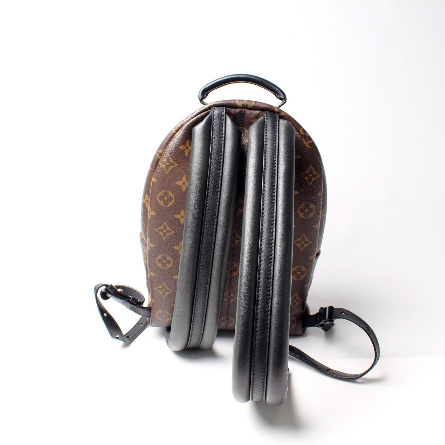 Louis Vuitton Palm Springs Backpack PM NM