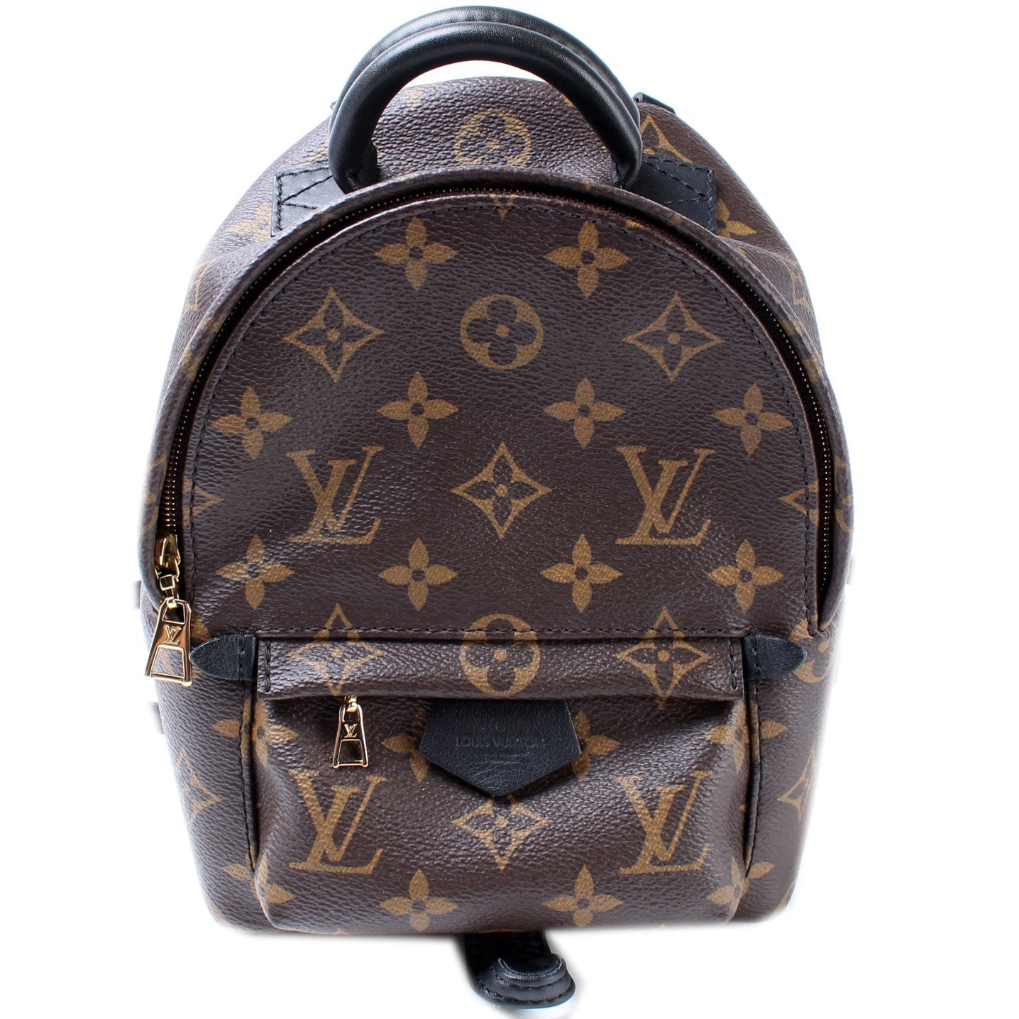 Louis Vuitton Palm Springs Mini Monogram