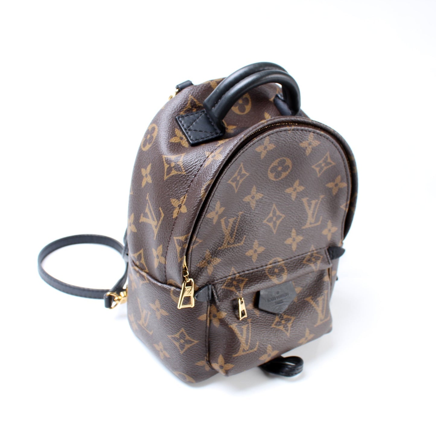 Louis Vuitton Palm Springs Mini Monogram