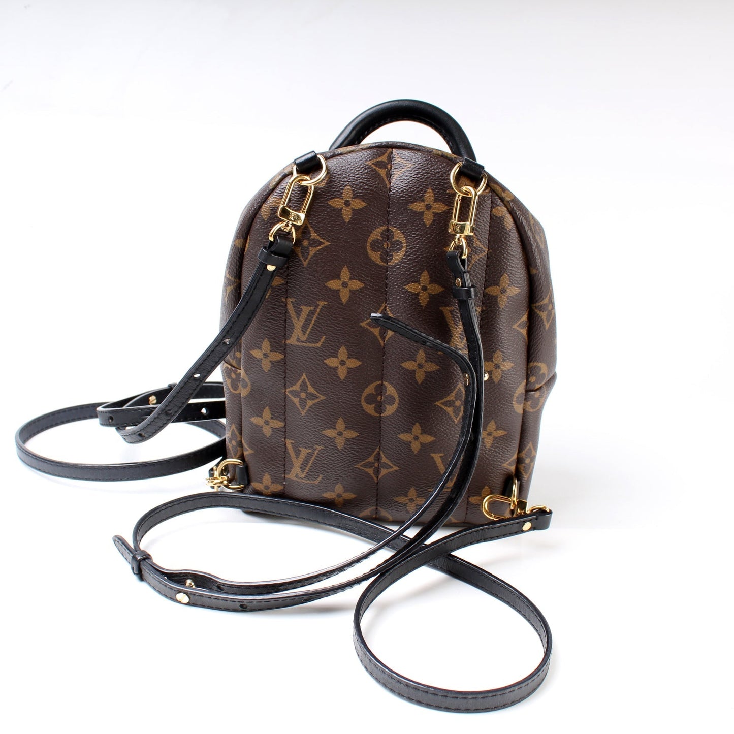 Louis Vuitton Palm Springs Mini Monogram