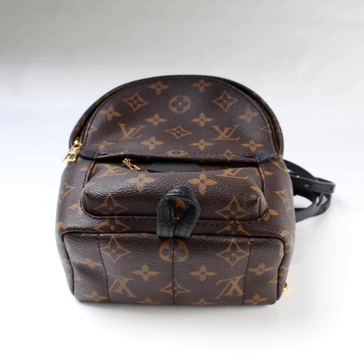 Louis Vuitton Palm Springs Mini Monogram