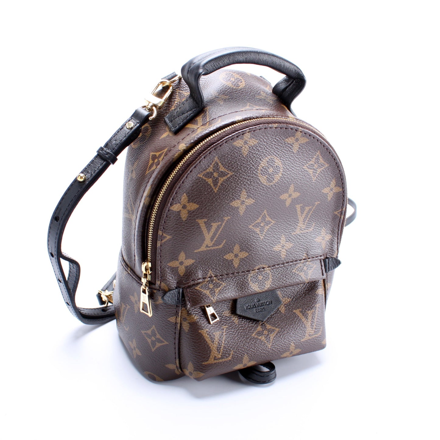 Louis Vuitton Palm Springs Mini Monogram