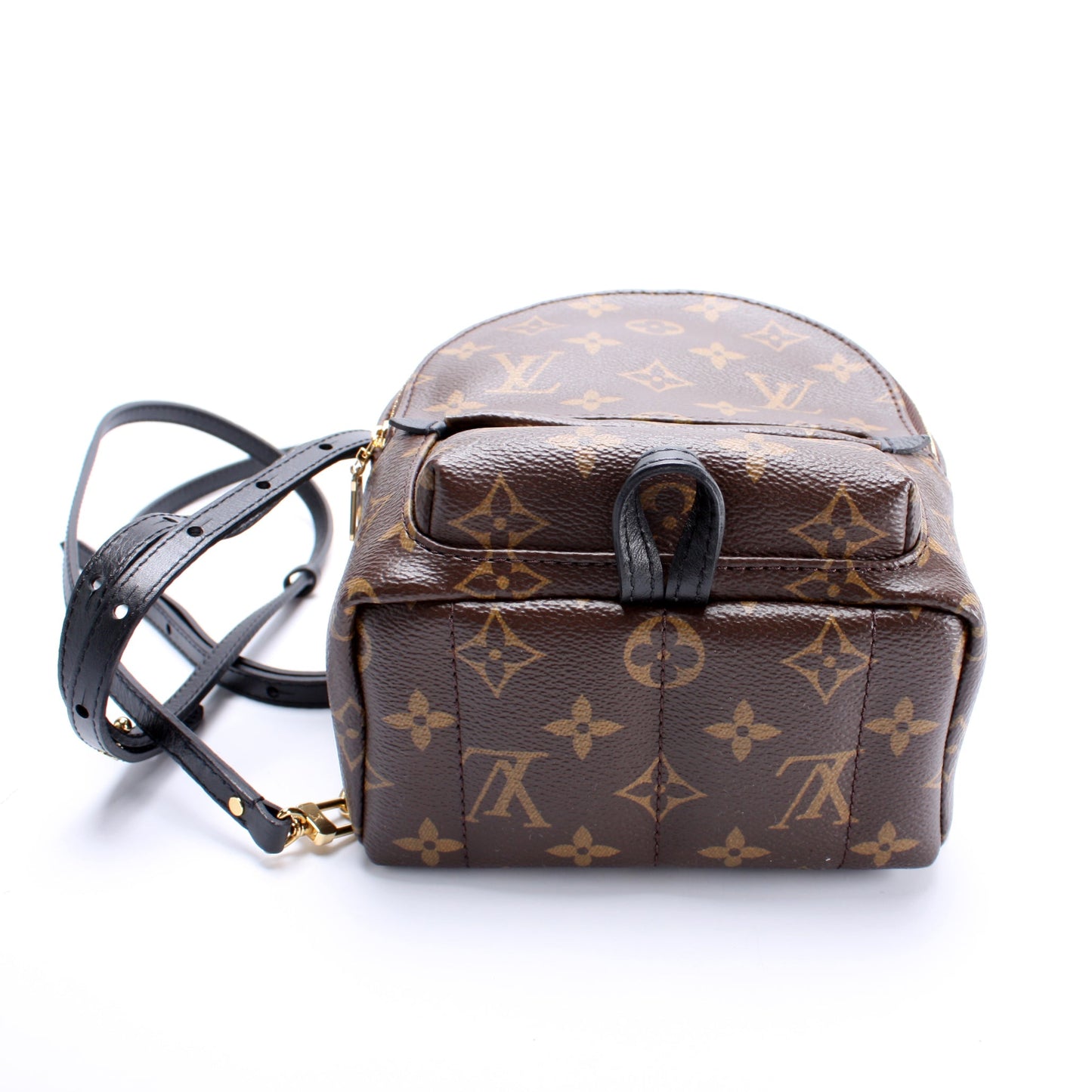 Louis Vuitton Palm Springs Mini Monogram