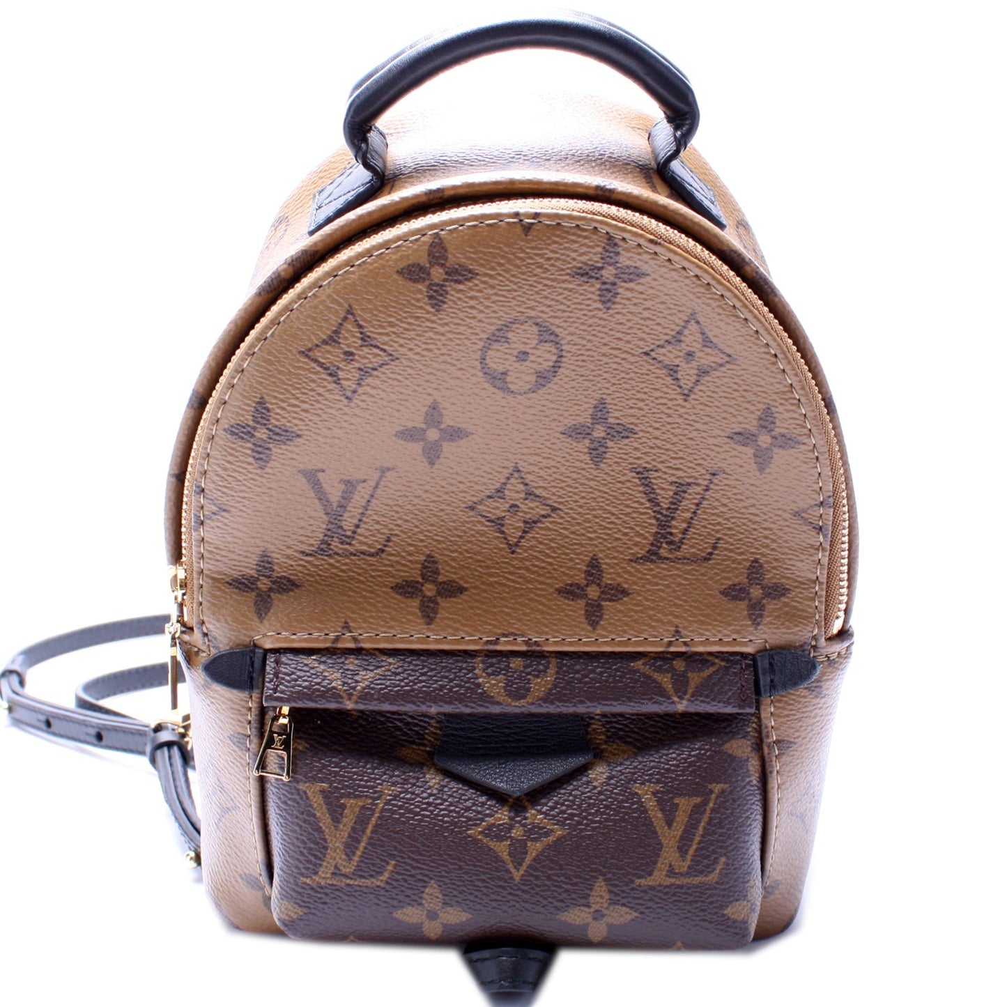 Louis Vuitton Palm Springs Mini Reverse Monogram