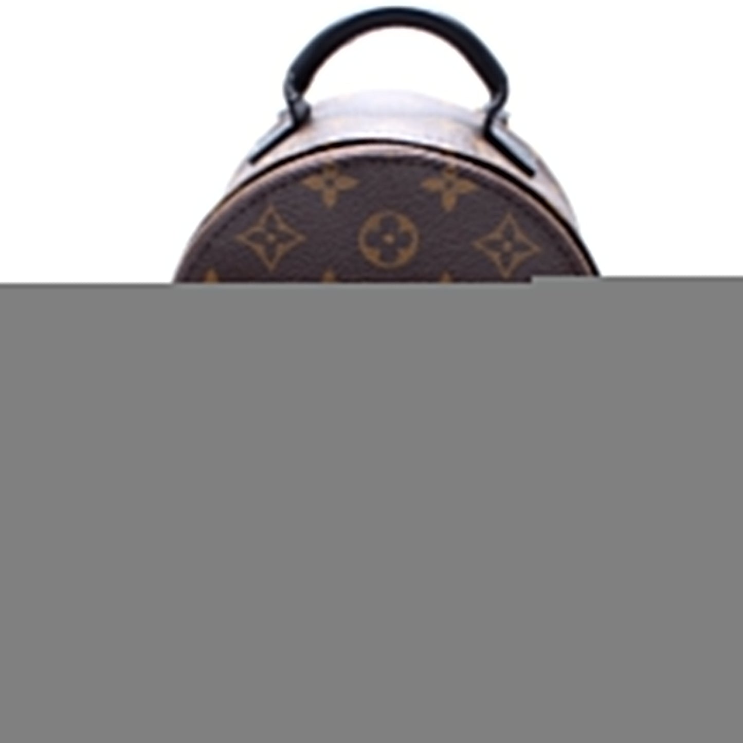 Louis Vuitton Palm Springs Mini Monogram