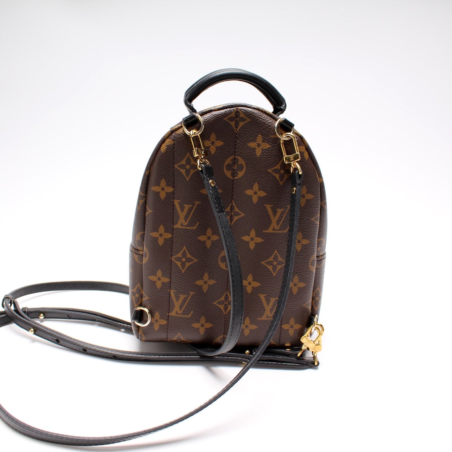 Louis Vuitton Palm Springs Mini Monogram