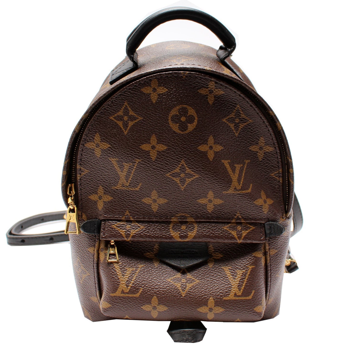 Louis Vuitton Palm Springs Mini Monogram