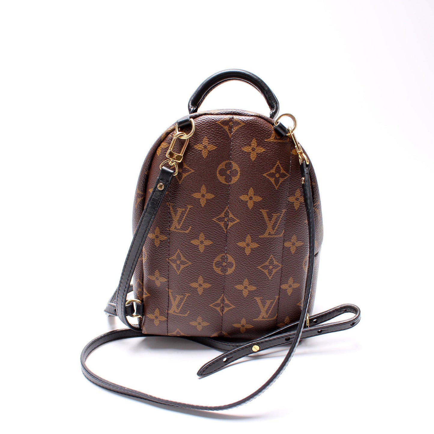 Louis Vuitton Palm Springs Mini Monogram