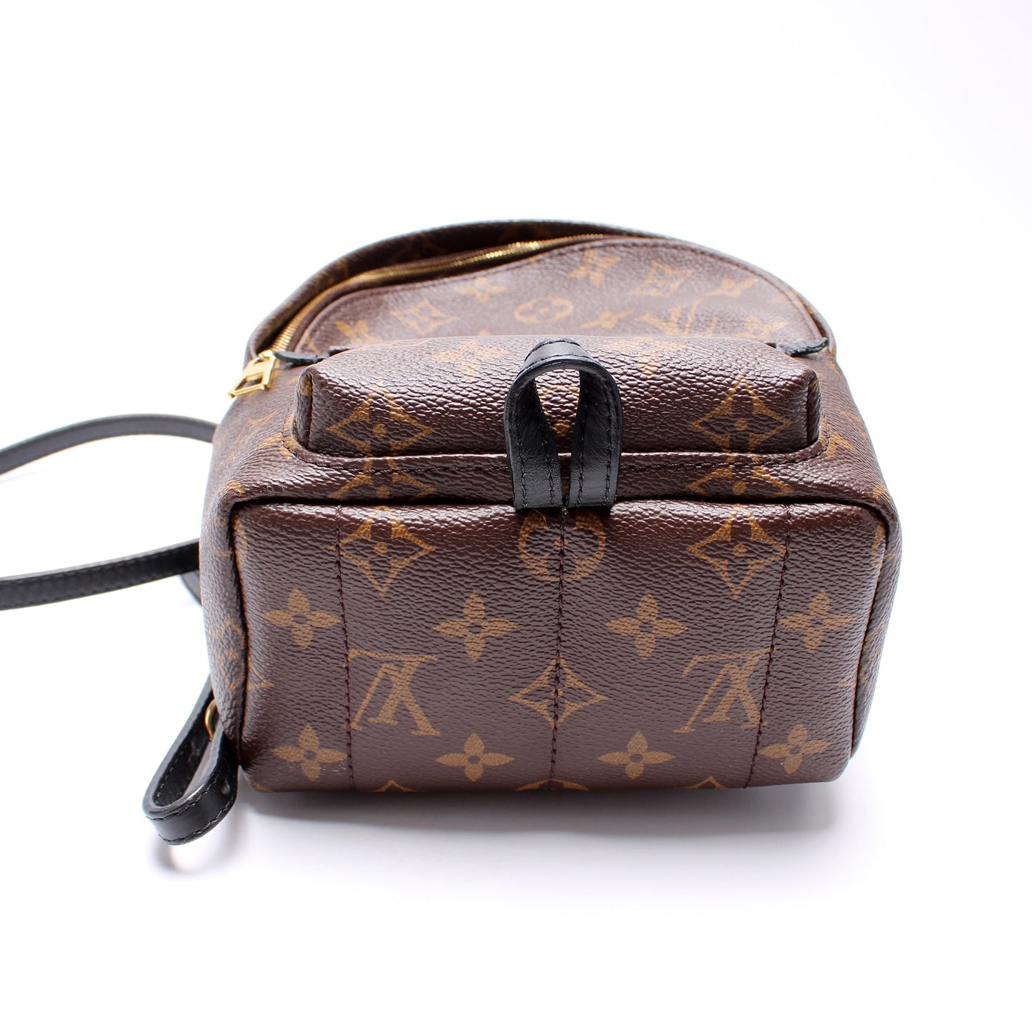 Louis Vuitton Palm Springs Mini Monogram