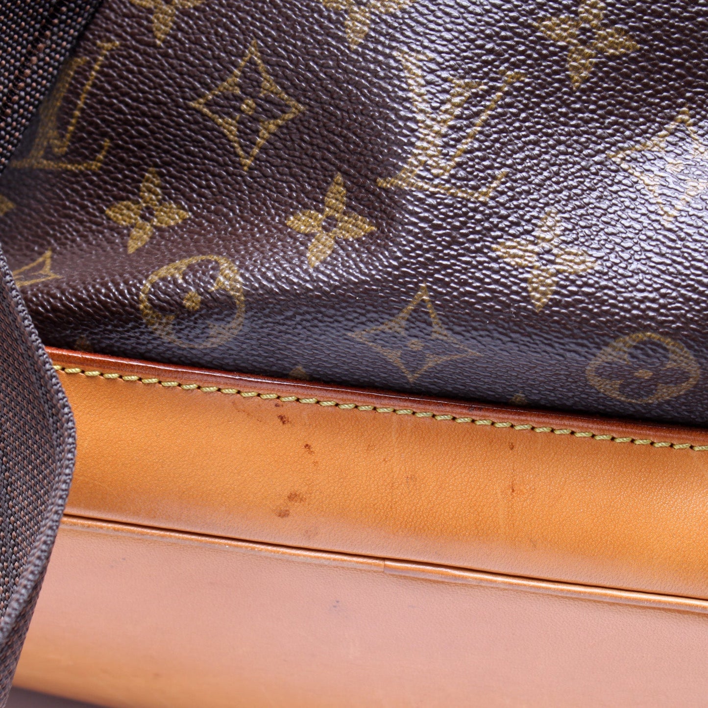 Louis Vuitton Montsouris GM Monogram