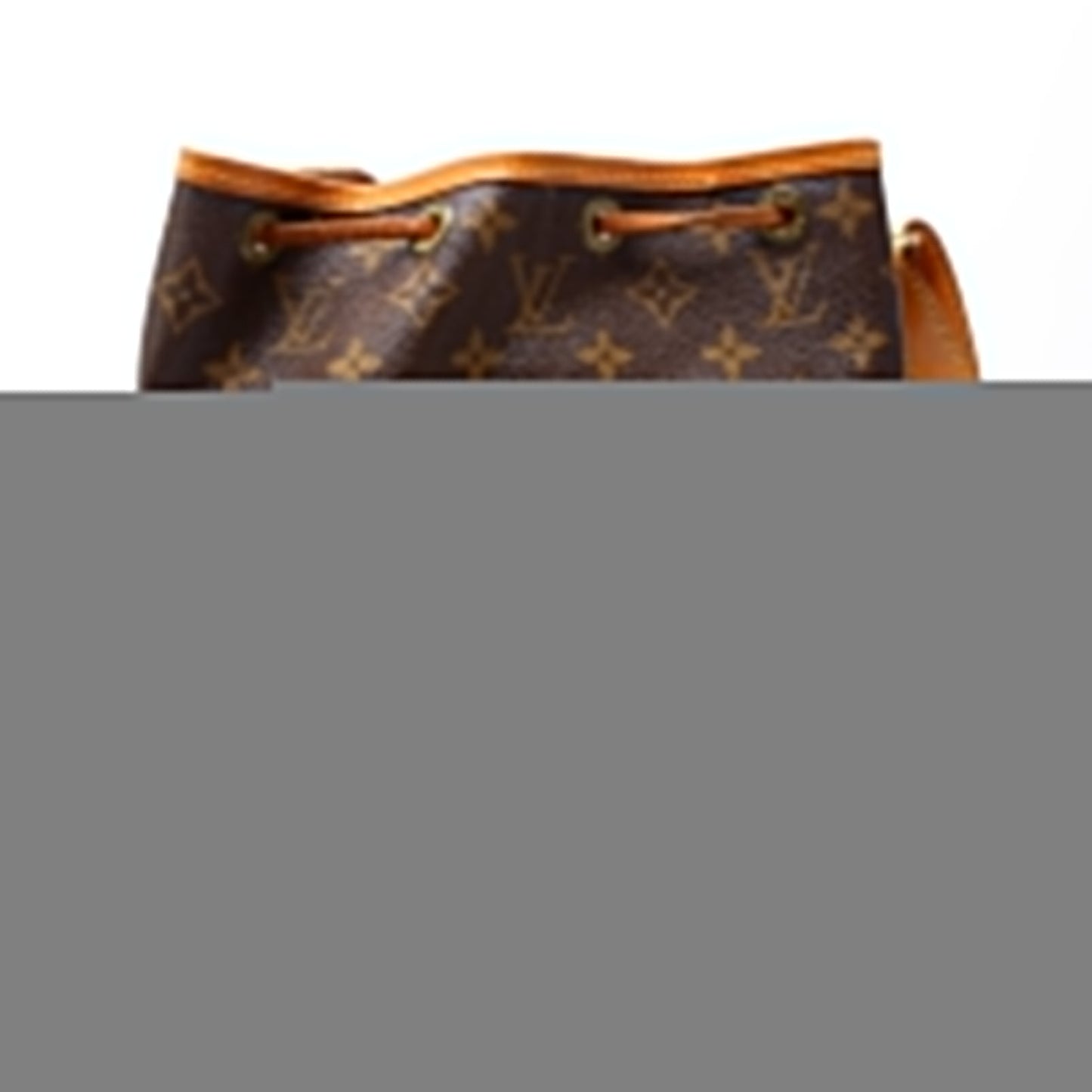 Louis Vuitton Noe Petit   Monogram