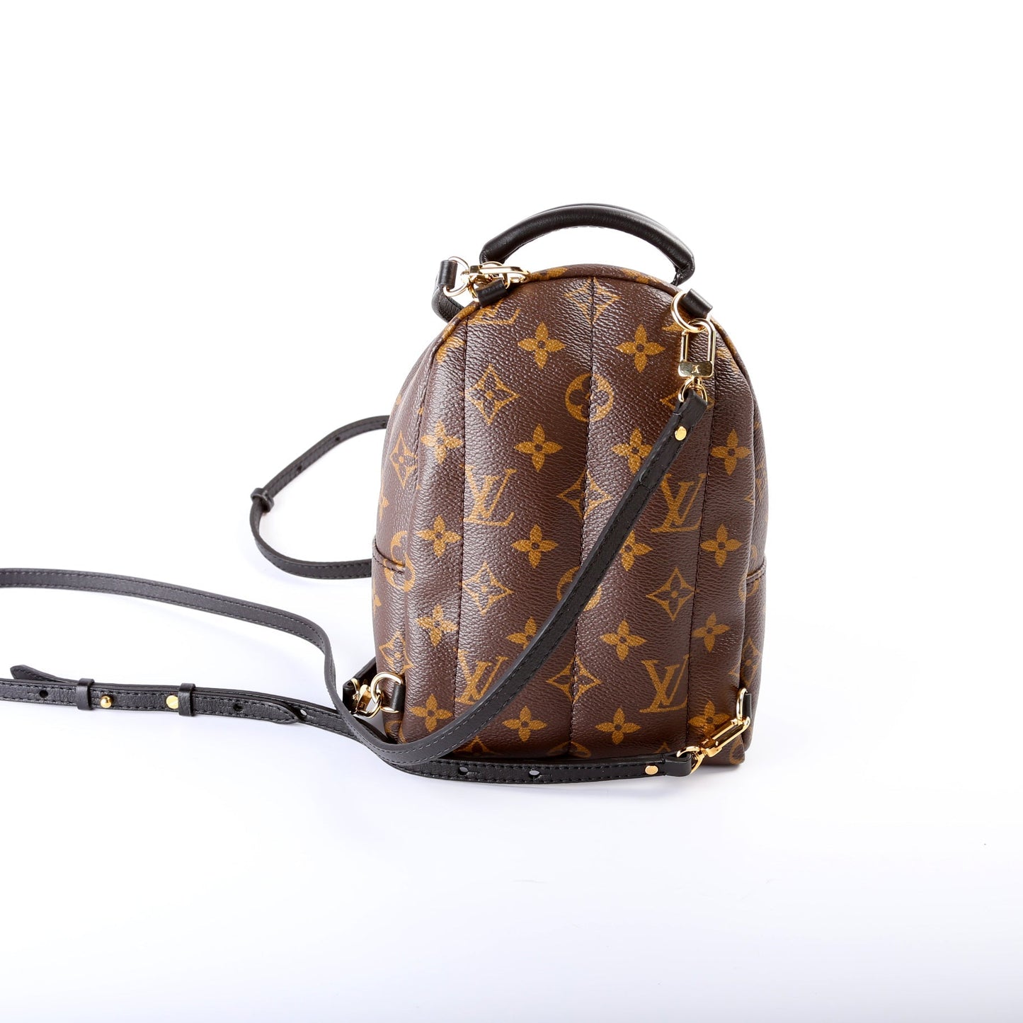 Louis Vuitton Palm Springs Mini Monogram