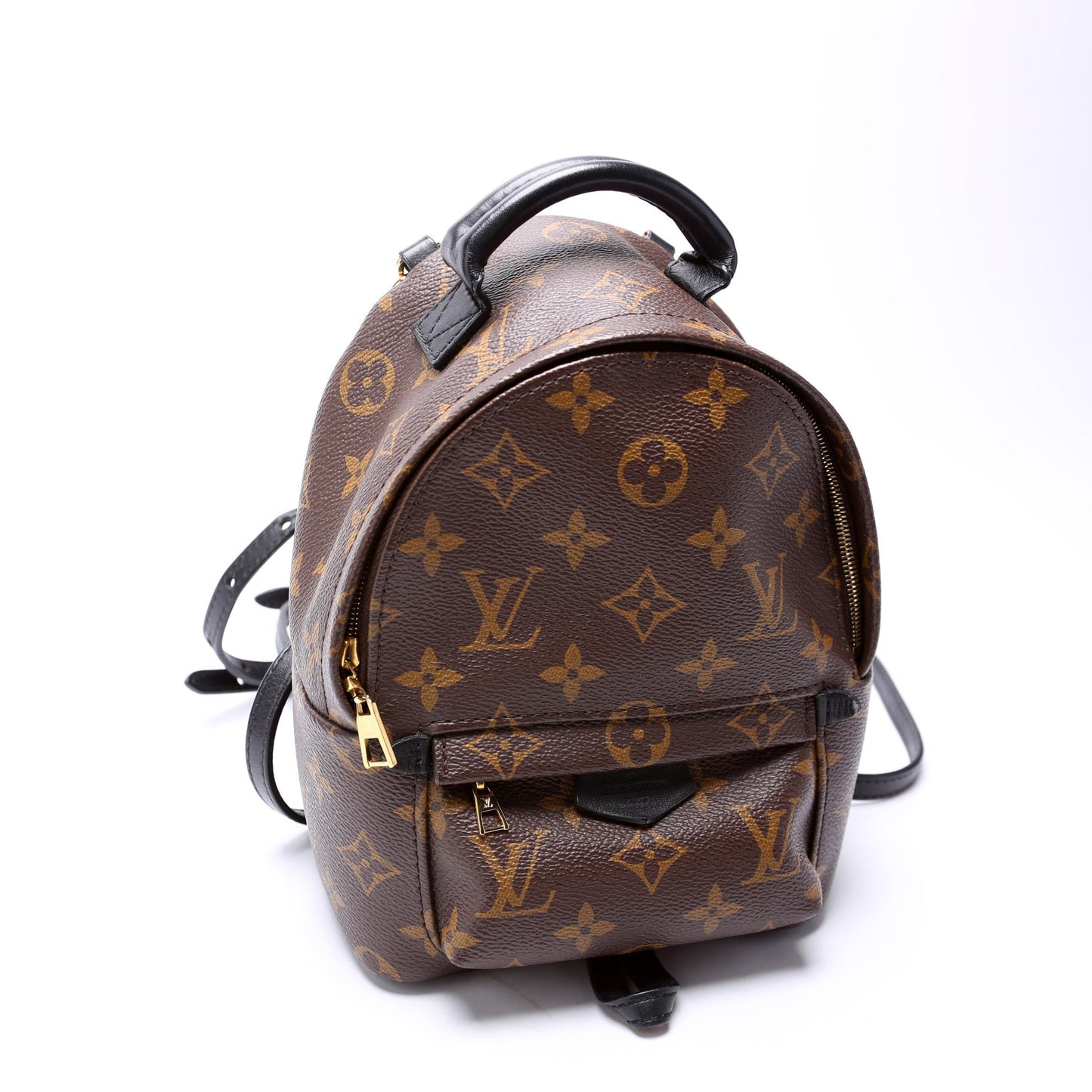 Louis Vuitton Palm Springs Mini Monogram