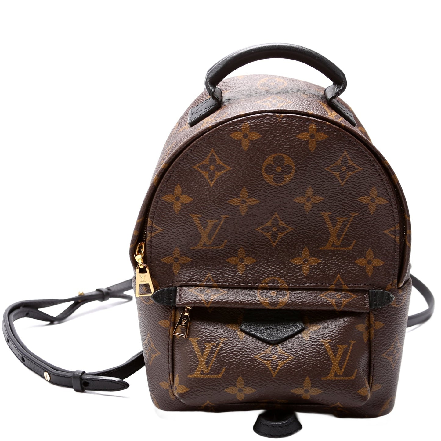 Louis Vuitton Palm Springs Mini Monogram