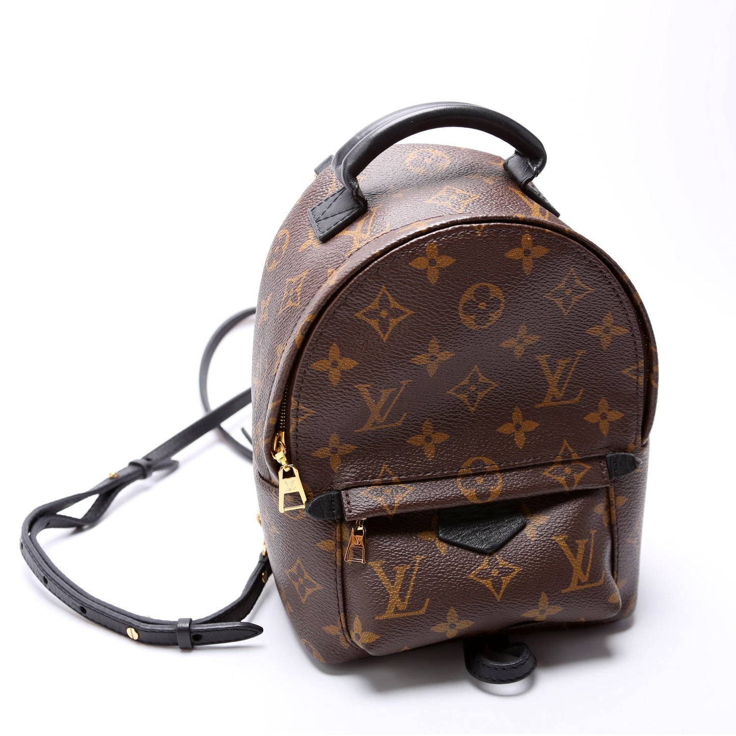 Louis Vuitton Palm Springs Mini Monogram