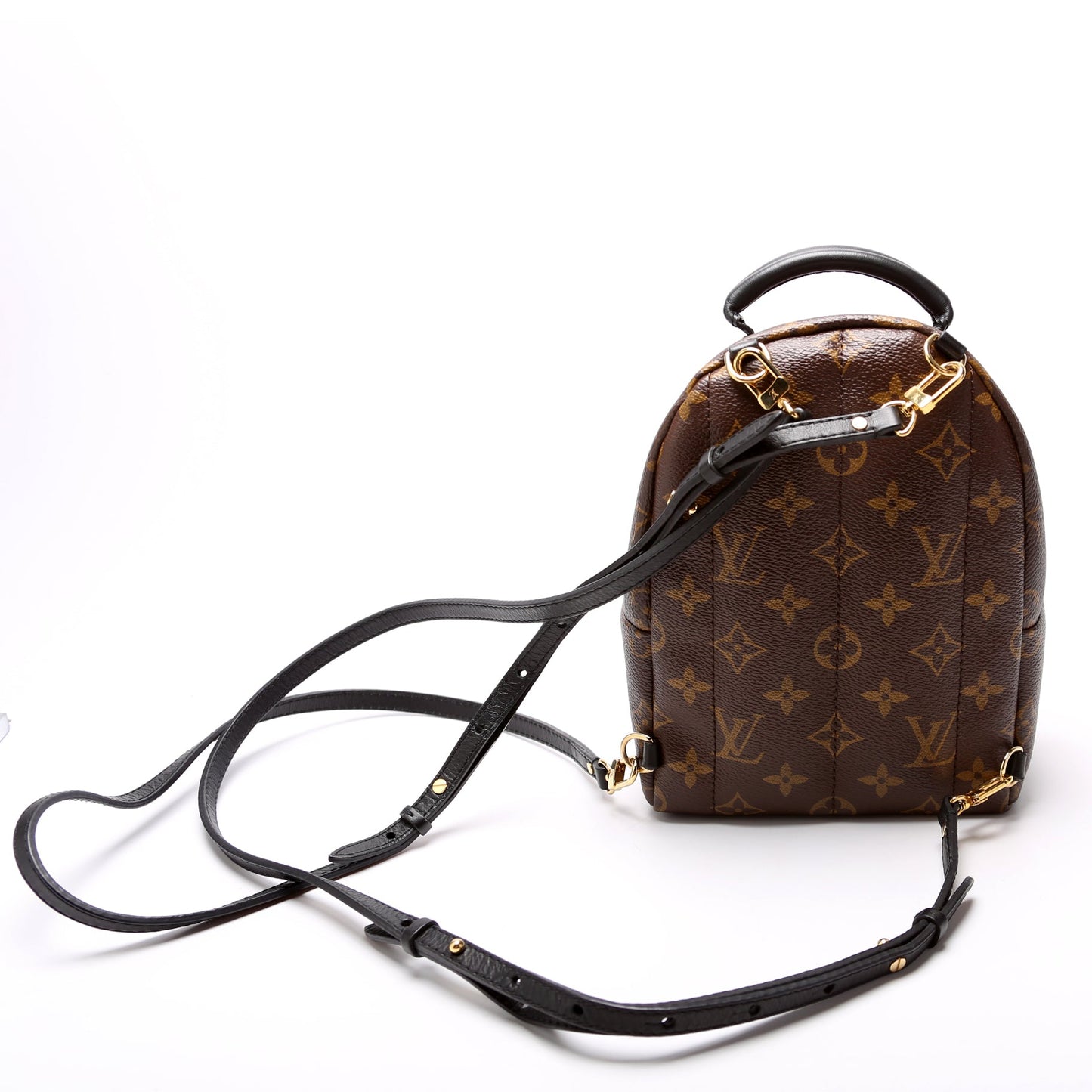 Louis Vuitton Palm Springs Mini Monogram