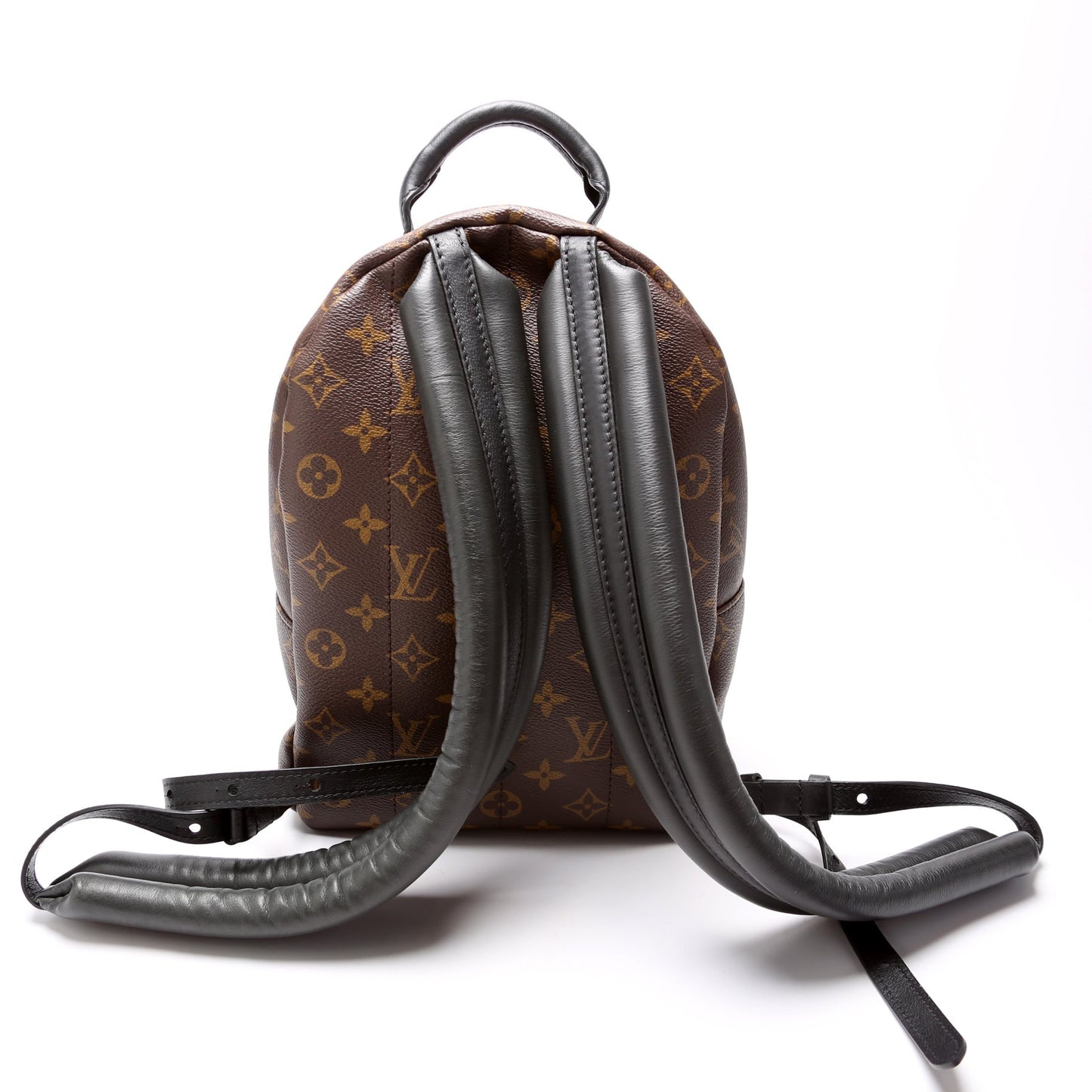Louis Vuitton Palm Springs Backpack PM NM
