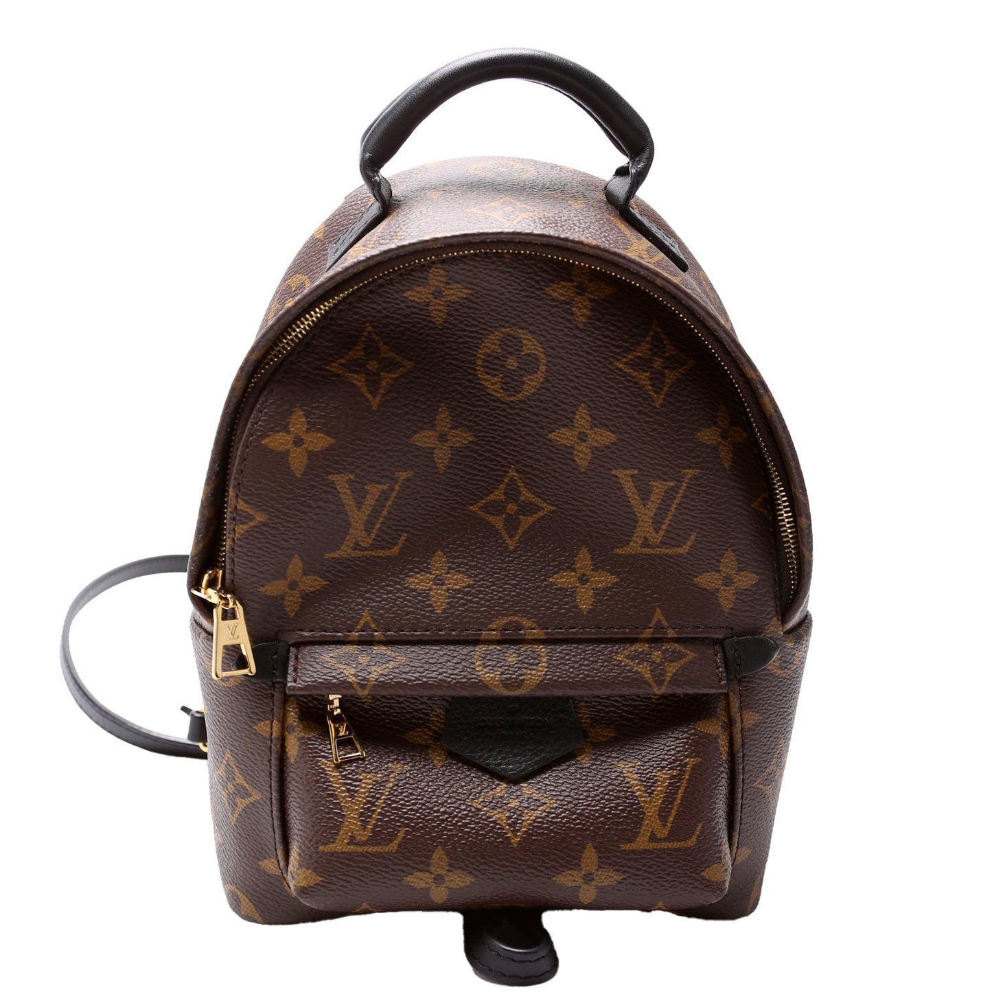 Louis Vuitton Palm Springs Mini Monogram