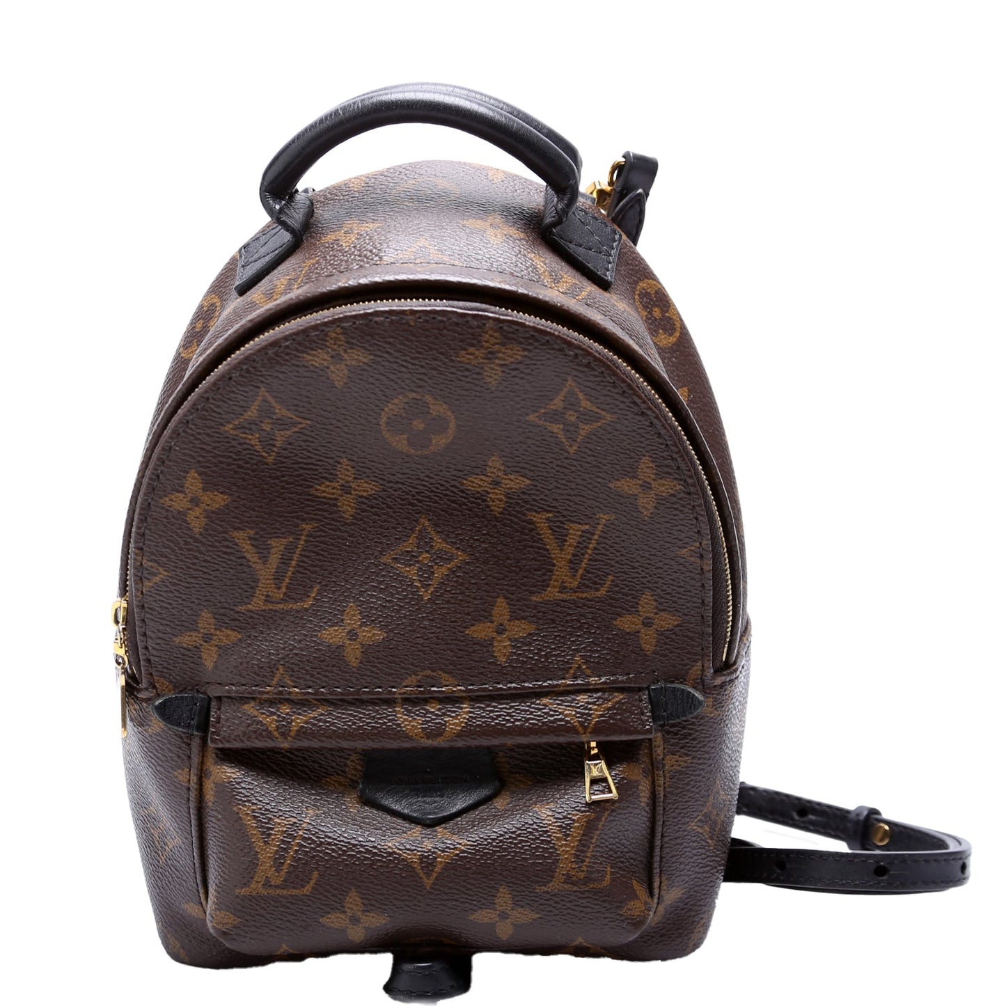 Louis Vuitton Palm Springs Mini Monogram