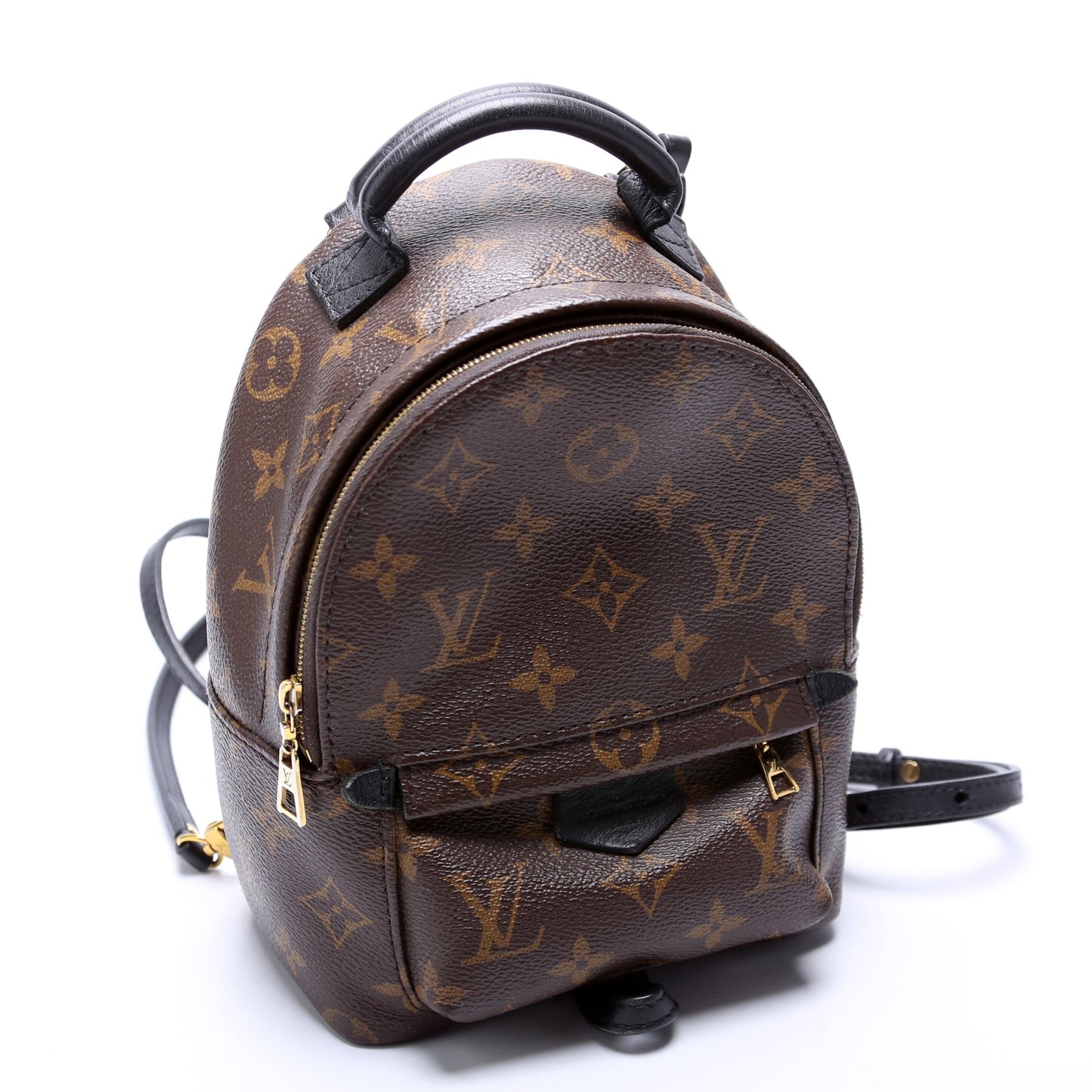 Louis Vuitton Palm Springs Mini Monogram