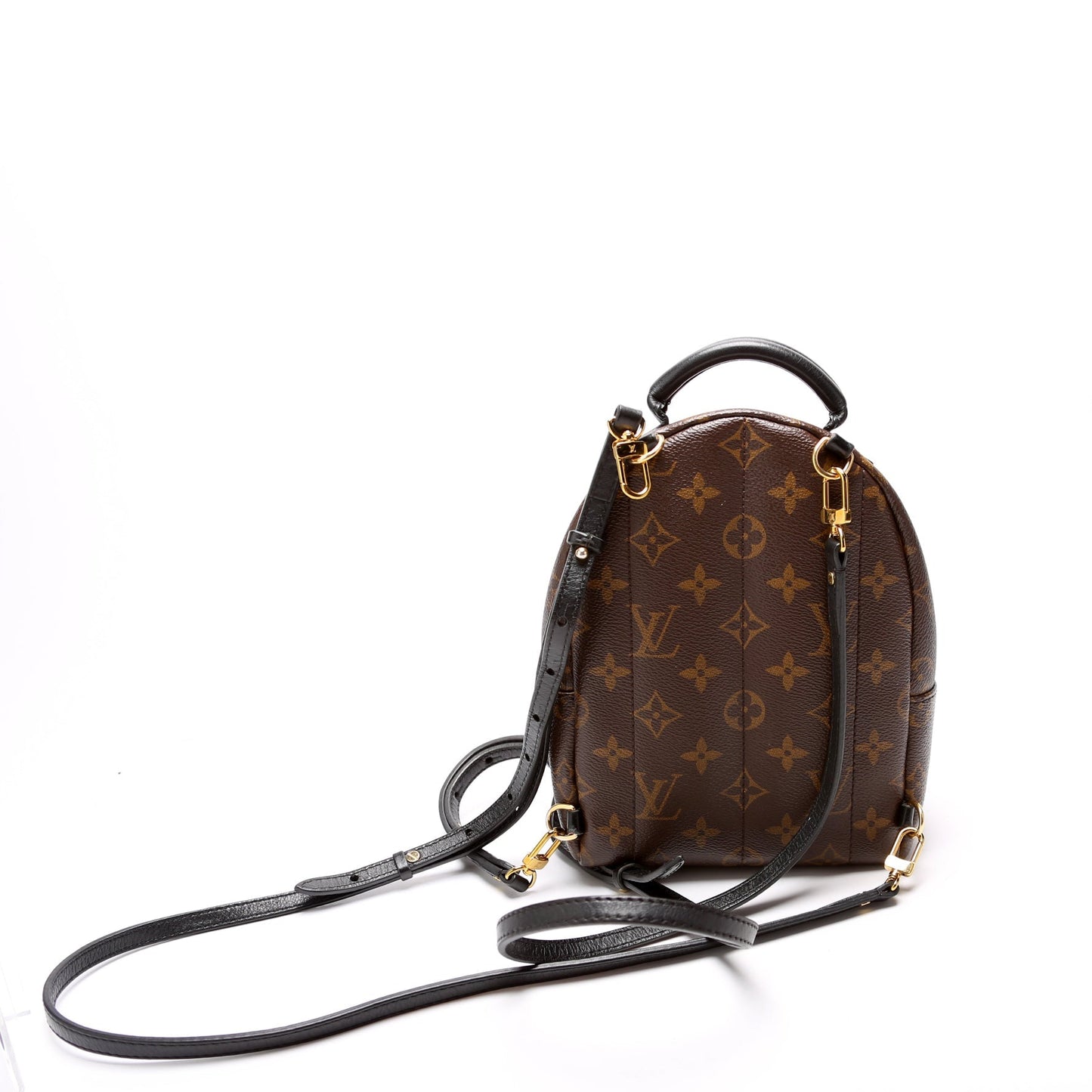 Louis Vuitton Palm Springs Mini Monogram
