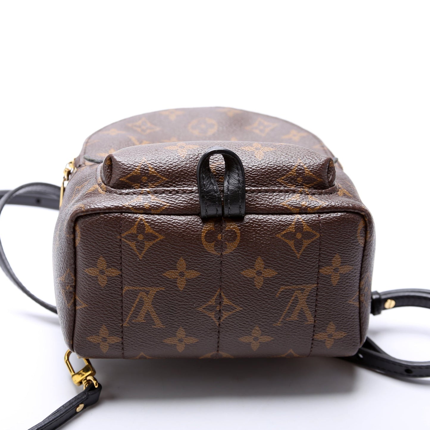 Louis Vuitton Palm Springs Mini Monogram