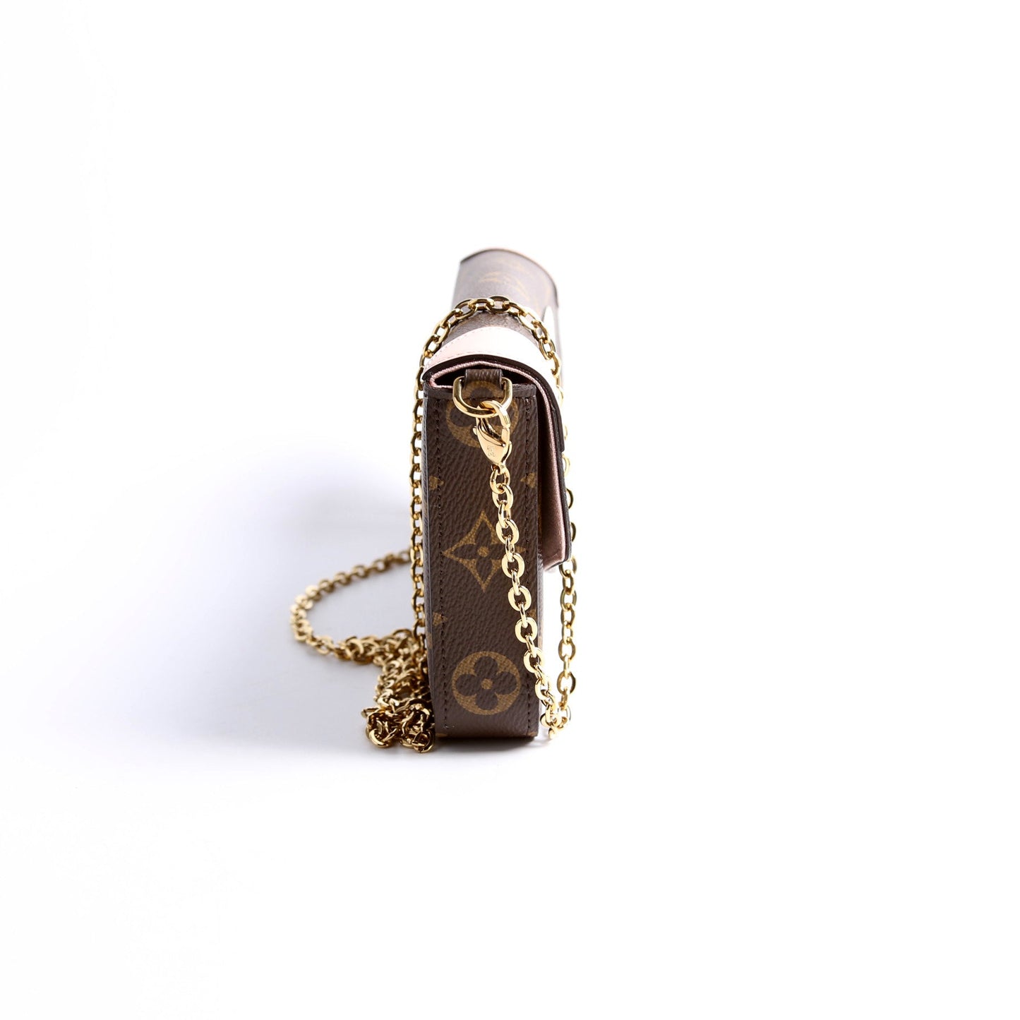 Louis Vuitton Pochette Felicie Valentine Dog Monogram