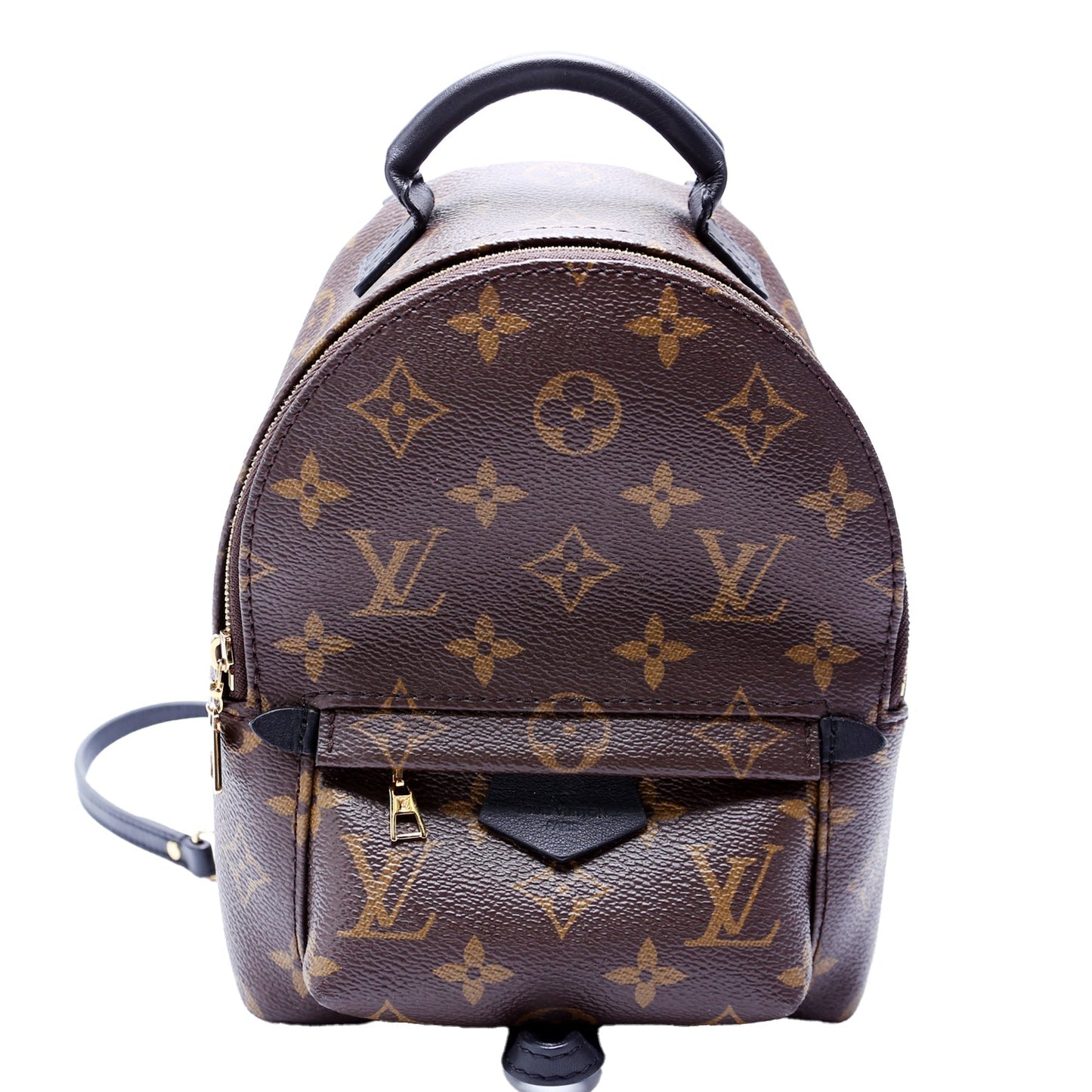 Louis Vuitton Palm Springs Mini NV Monogram