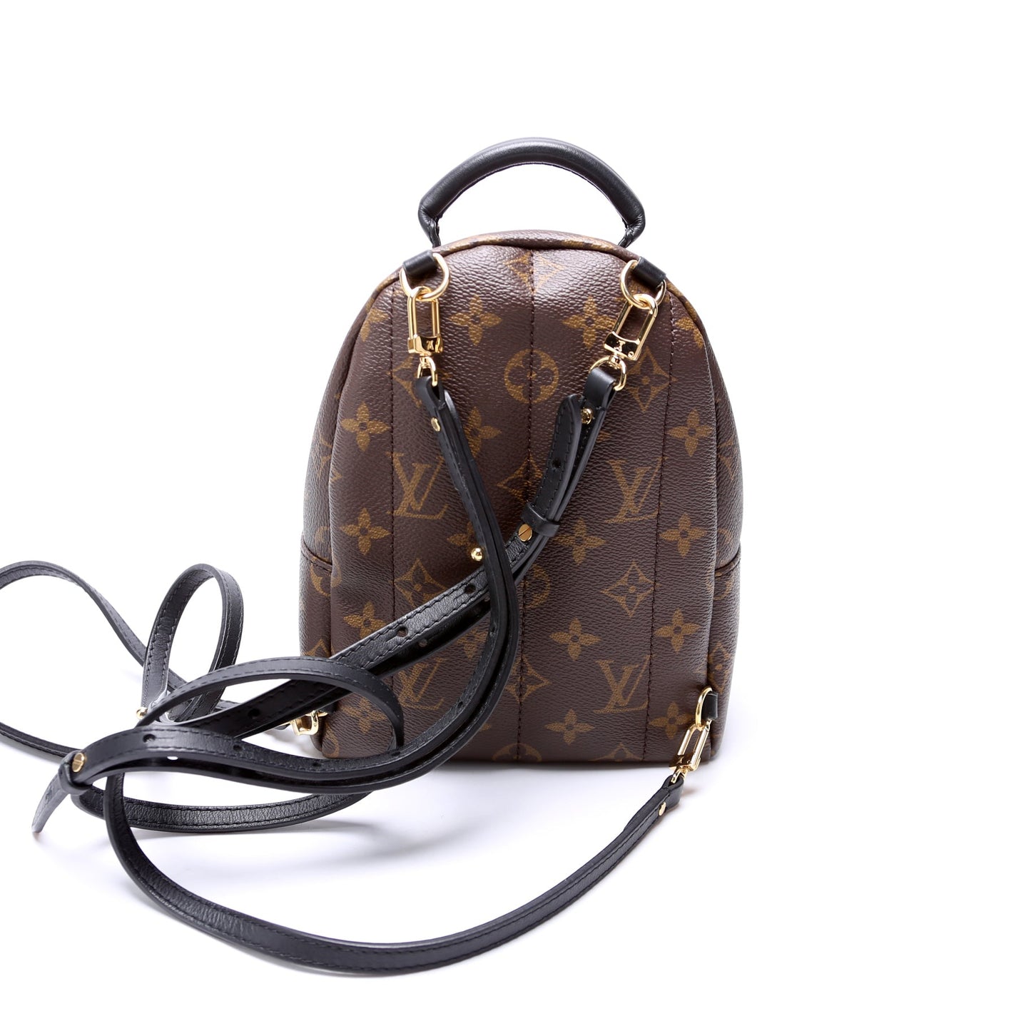 Louis Vuitton Palm Springs Mini NV Monogram