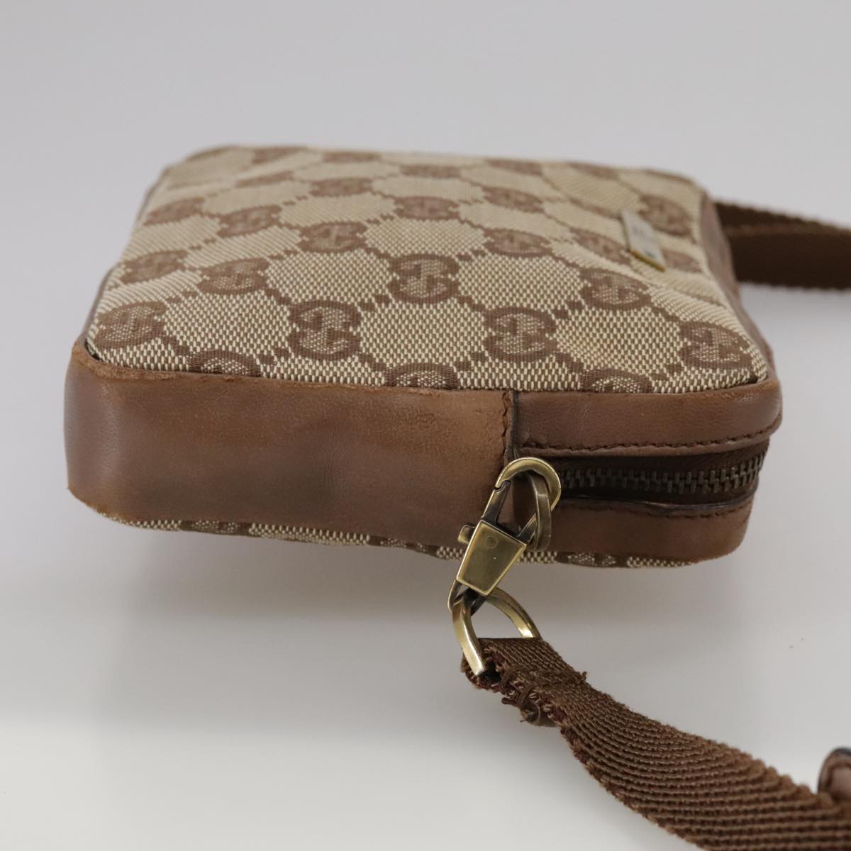 Gucci GG canvas