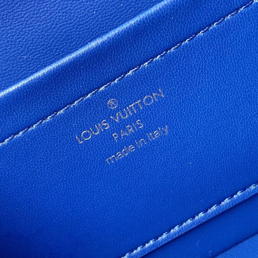 Louis Vuitton Bleeker Box Bag