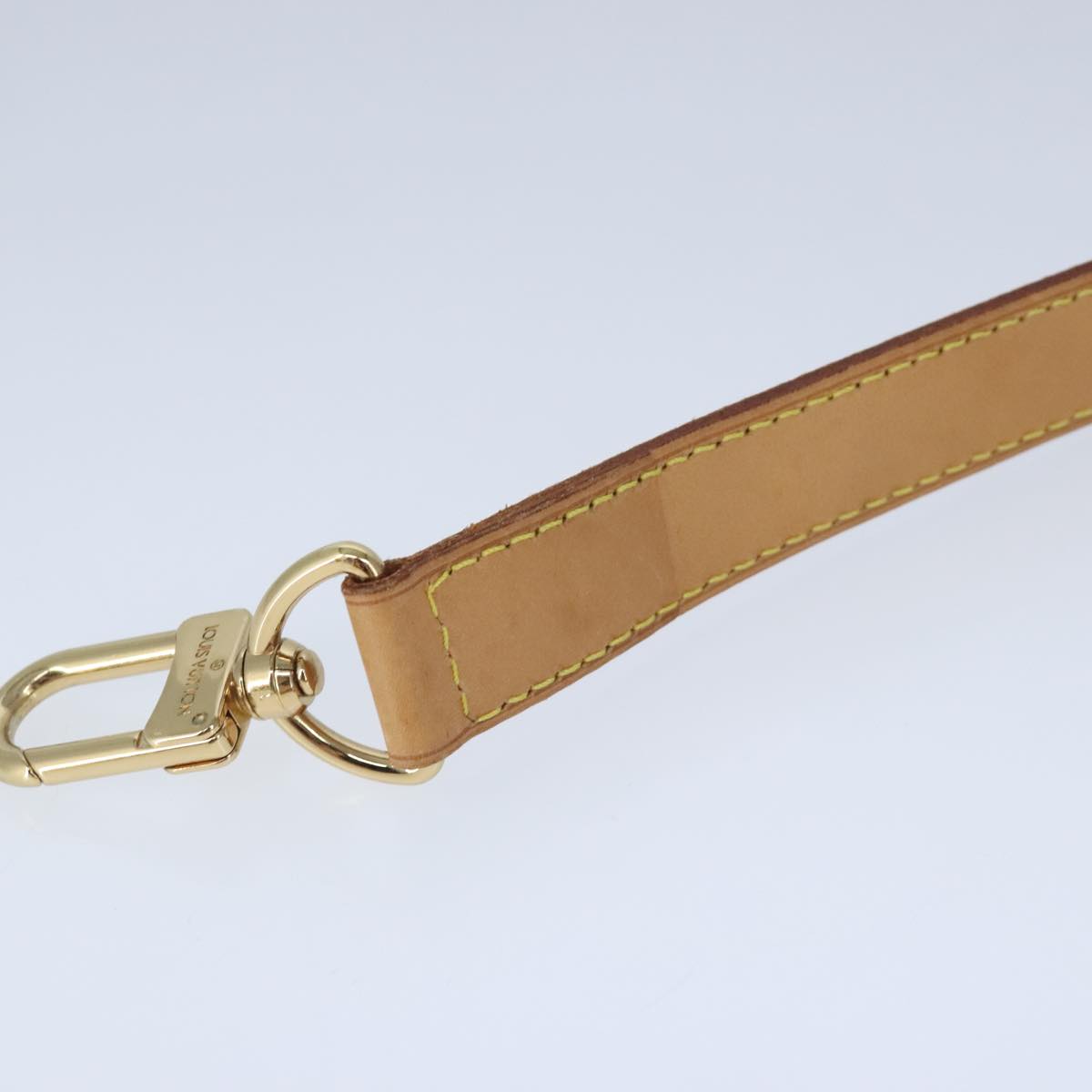 Louis Vuitton Bandoulière de sac
