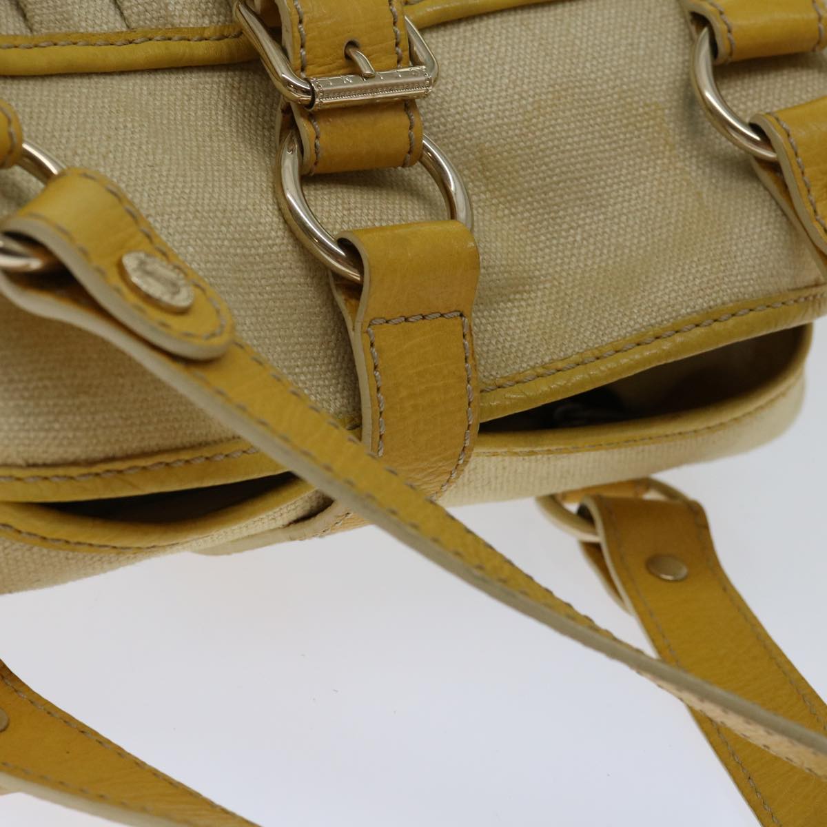 Luxury CELINE Triomphe Handbag