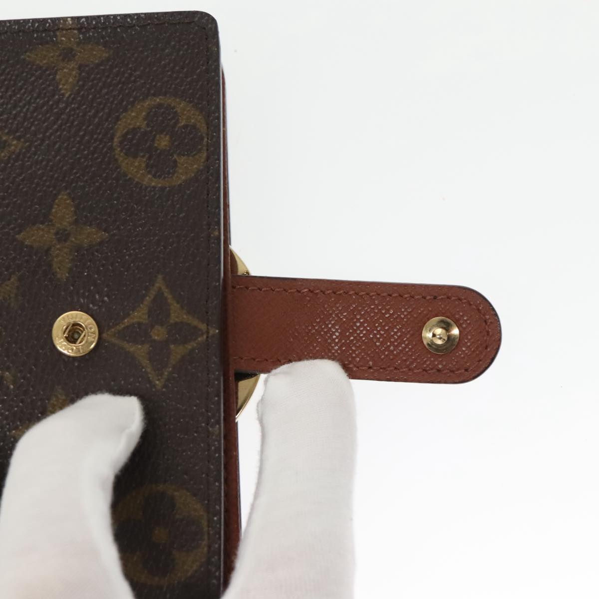 Louis Vuitton Viennois