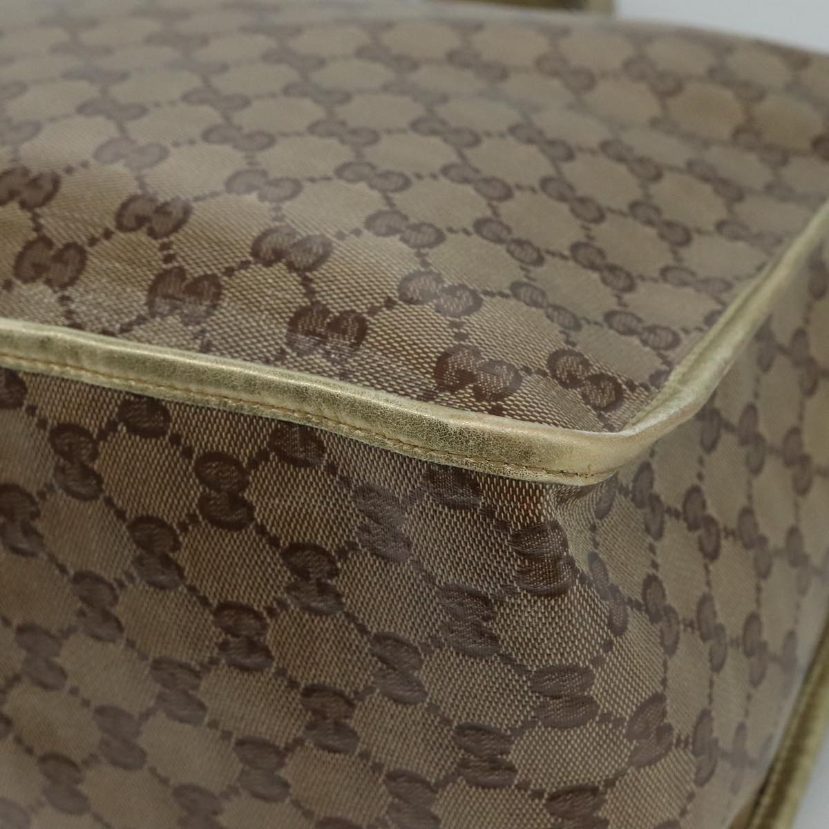 Gucci GG canvas