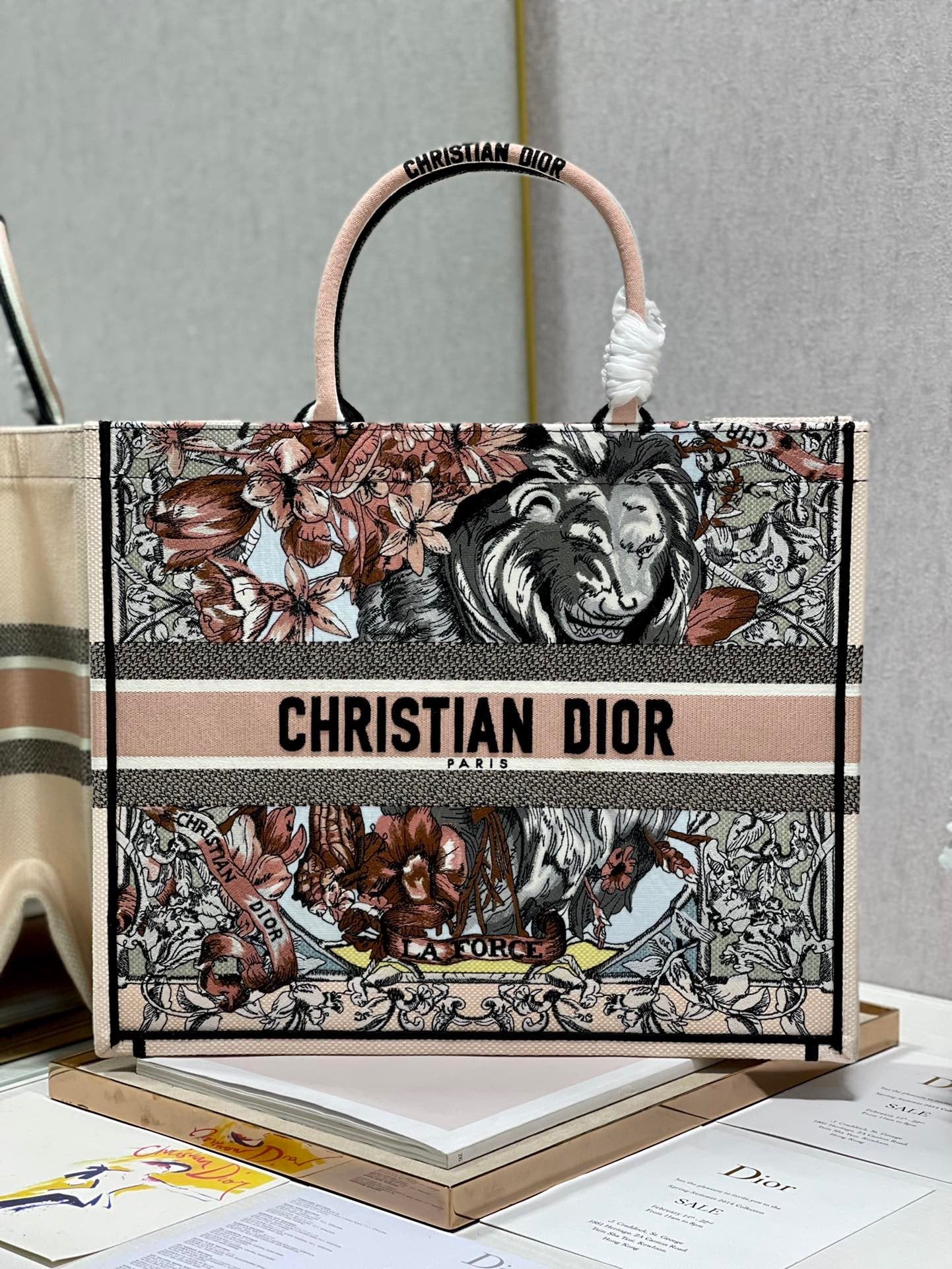 Top Quality Large Book Tote Multicolor, For Women, Womens Handbags 16.5in/42cm CD M1286ZFOR_M884