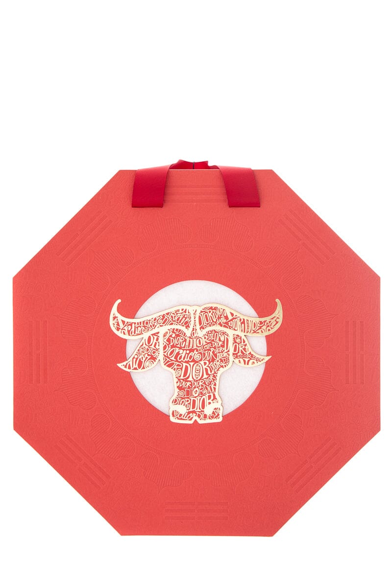 Dior X Shawn Stussy Lunar New Year Lantern